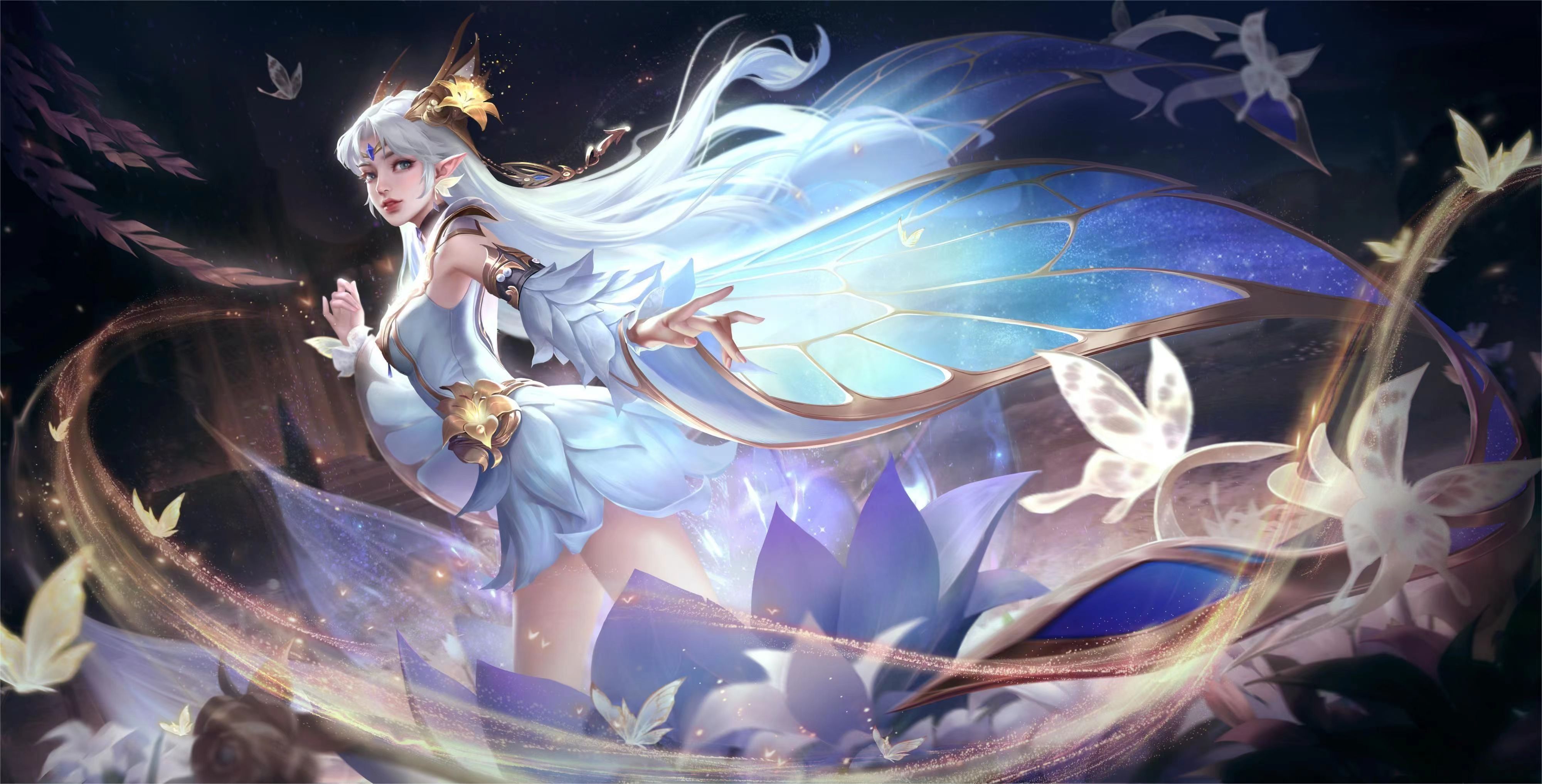 调整和适应 调整和适应